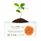Daily what laying of ECO by Naty Large, 28 pieces Daily what laying of ECO by Naty Large, 28 pieces