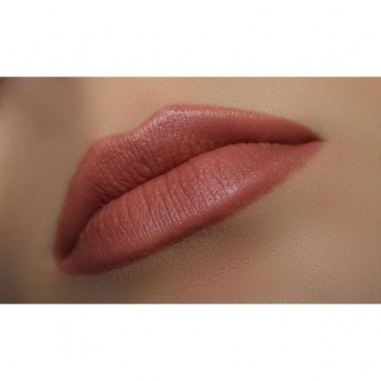Pencil for lips of WoBs L06 of caramel, 2 g Pencil for lips of WoBs L06 of caramel, 2 g