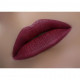 Pencil for lips of WoBs L20 of wine, 2 g Pencil for lips of WoBs L20 of wine, 2 g