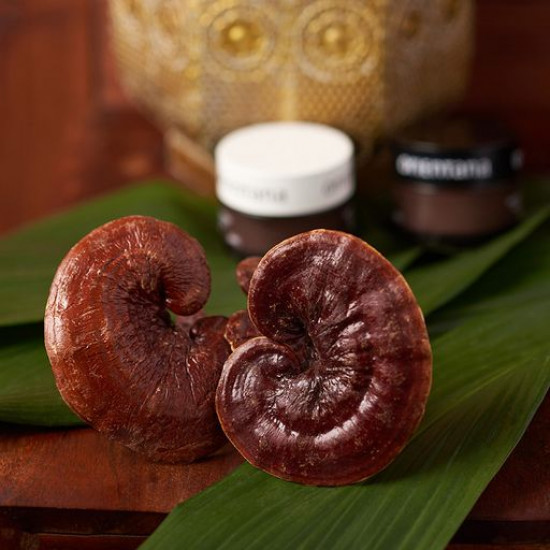 Нічний крем для обличчя Orientana Reishi Natural Vegan Night Cream, 50 мл Нічний крем для обличчя Orientana Reishi Natural Vegan Night Cream, 50 мл
