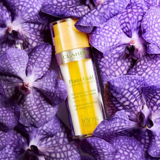 Nutritious emulsion for the person Clarins Plant Gold Nutri-Revitalizing Oil-Emulsion, 35 ml Nutritious emulsion for the person Clarins Plant Gold Nutri-Revitalizing Oil-Emulsion, 35 ml