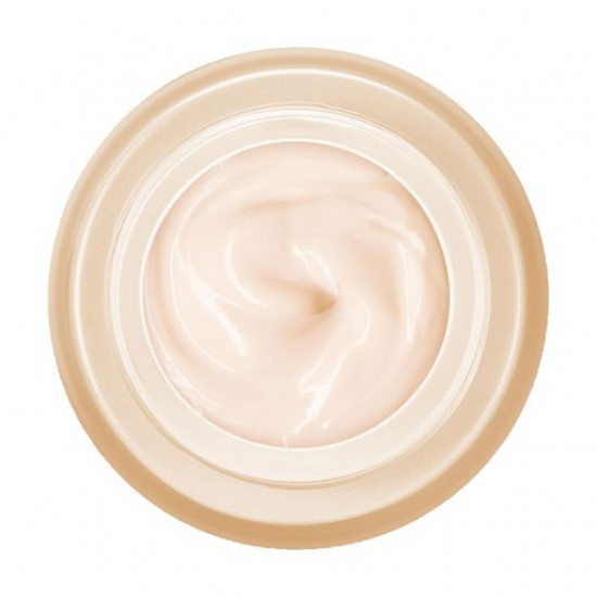 Nutritious night cream for the person Vichy Neovadiol Magistral Nuit, 50 ml Nutritious night cream for the person Vichy Neovadiol Magistral Nuit, 50 ml