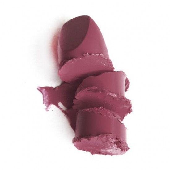 Lipstick for lips of Paese Argan Oil Lipstick with argan oil 40, 4.3 g Lipstick for lips of Paese Argan Oil Lipstick with argan oil 40, 4.3 g