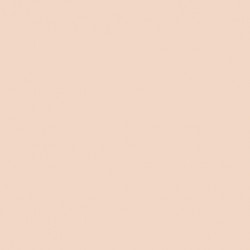 Powder compact Parisa Cosmetics, PP-03, tone 09, 12 g