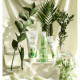 Тонер для лица Ottie Green Tea Toner для всех типов кожи, 200 мл
Тонер для лица Ottie Green Tea Toner для всех типов кожи, 200 мл