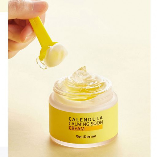 Успокаивающий крем для лица WellDerma Calendula Calming Soon Cream с календулой, 80 г
Успокаивающий крем для лица WellDerma Calendula Calming Soon Cream с календулой, 80 г