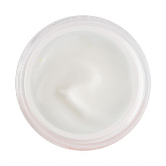 Восстанавливающий ночной крем для лица Christina Forever Young Repairing Night Cream Возрождение, 50 мл
Восстанавливающий ночной крем для лица Christina Forever Young Repairing Night Cream Возрождение, 50 мл