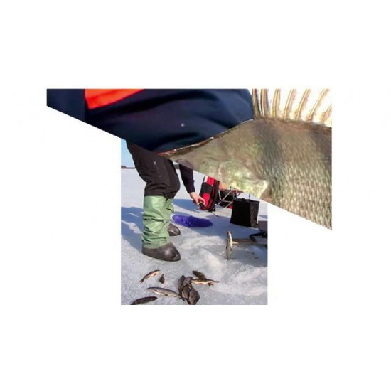 Jig tungsten Lucky John Ant-7. 5 pieces (827050-03) Jig tungsten Lucky John Ant-7. 5 pieces (827050-03)