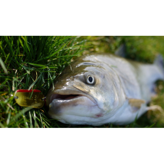 Блешня коливається DAM Effzett Original 45г (5002045) Блешня коливається DAM Effzett Original 45г (5002045)