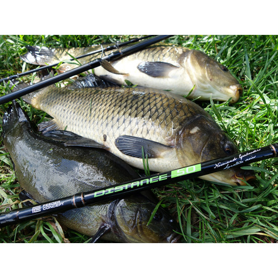 Фидер Salmo Feeder Concept Distance 70 3.6м 30-70г (FCDI070-360) Фидер Salmo Feeder Concept Distance 70 3.6м 30-70г (FCDI070-360)