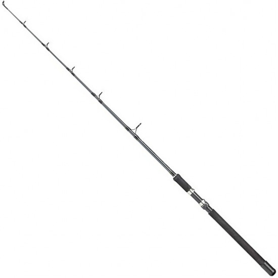 Boat fishing-rod of DAM Camaro Trolling of 1.60 m 30Lb (55914) Boat fishing-rod of DAM Camaro Trolling of 1.60 m 30Lb (55914)