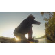 Boat fishing-rod of Lineaeffe Super Hikaru of 2.4 m (2241524) Boat fishing-rod of Lineaeffe Super Hikaru of 2.4 m (2241524)