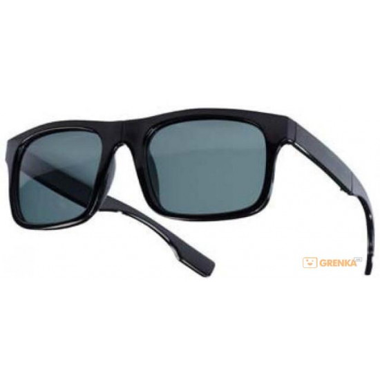 Balzer Polavision'Fold' glasses (gray lenses) (18730 056) Balzer Polavision'Fold' glasses (gray lenses) (18730 056)