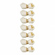 8in1 Delights XS Bone for brushing teeth in dogs with chicken flavor (pack of 7) 8in1 Delights XS Bone for brushing teeth in dogs with chicken flavor (pack of 7)
