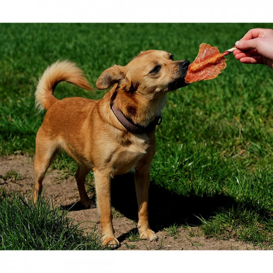 8in1 Triple Flavor Wings Dog Treats Triple Flavor Wings 8in1 Triple Flavor Wings Dog Treats Triple Flavor Wings