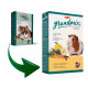 Padovan GrandMix Cavie Food for guinea pigs Padovan GrandMix Cavie Food for guinea pigs